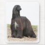 Afghan Hound 9Y151D-113 Mouse Pads