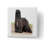 Afghan Hound 9Y151D-118 Pinback Buttons