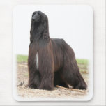 Afghan Hound 9Y151D-118 Mouse Pad
