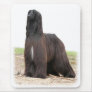Afghan Hound 9Y151D-118 Mouse Pad