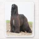 Afghan Hound 9Y151D-118 mousepads