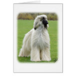 Afghan Hound 9Y247D-010 Greeting Card