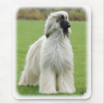 Afghan Hound 9Y247D-010 Mouse Pad