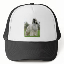 Afghan Hound 9Y247D-025 Trucker Hats