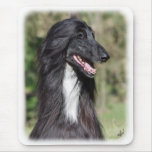 Afghan Hound AA017D-101 Mouse Pads