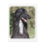 Afghan Hound AA017D-101 Postcard