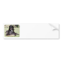 Afghan Hound AA017D-115 Bumper Sticker