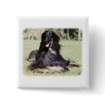 Afghan Hound AA017D-115 Pins