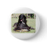 Afghan Hound AA017D-115 Pin