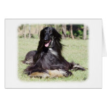 Afghan Hound AA017D-115 Greeting Cards