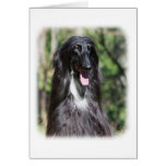 Afghan Hound AA017D-119 Greeting Cards