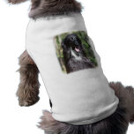 Afghan Hound AA017D-119 Dog Tee
