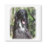 Afghan Hound AA017D-119 Refrigerator Magnet