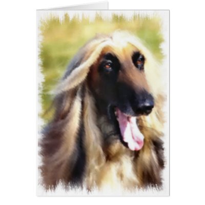 Afghan Hound Art Gifts Greeting Card by DogsByDezign