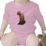 Afghan Hound Baby Romper