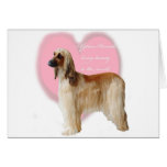 Afghan_Hound_beauty cards