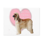 Afghan_Hound_beauty Post Card