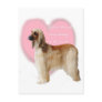 Afghan_Hound_beauty Postcard