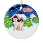 Afghan Hound Believe In Santa Christmas Ornament