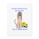 Afghan Hound Best Things In Life Postcard