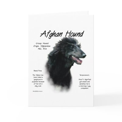 Afghan Hound (blk) History Design by GreyWolfCreation