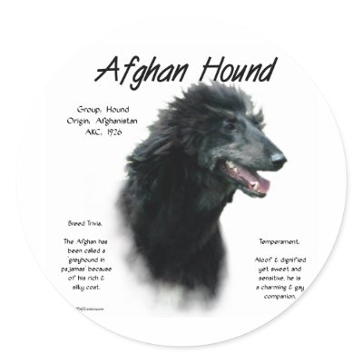 Afghan Hound (blk) History Design by GreyWolfCreation