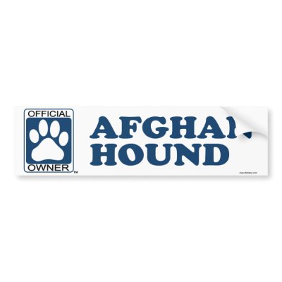 Afghan Hound Blue by GenuineDogOwner