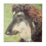 Afghan Hound Brown Tile