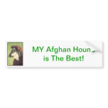 Afghan Hound Bumper Stickers
