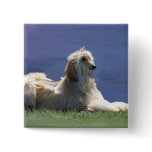 Afghan Hound buttons