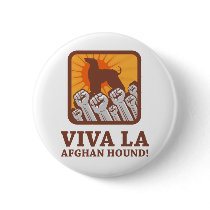 Afghan Hound