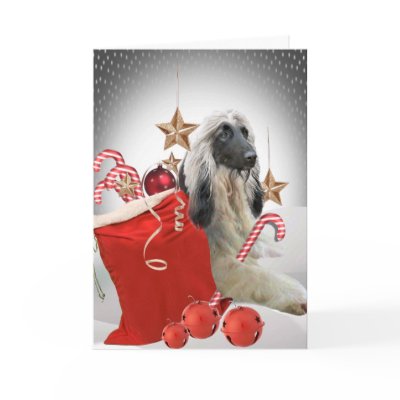 Afghan Hound Candy Cane Card by friskybiz