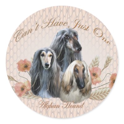 Afghan Hound Can't Have Just One Gifts Round Stickers by friskybiz