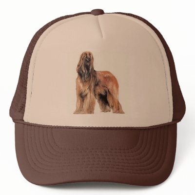 Afghan Hound Cap Hats by duhlar