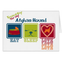 Afghan Hound Cards
