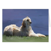Afghan Hound Cards