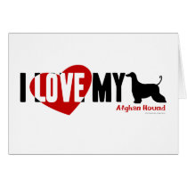 Afghan Hound