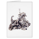 Afghan Hound Carousel Moving