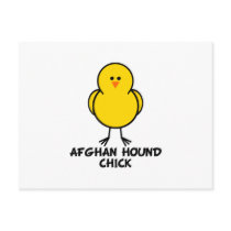 Afghan Hound Chick Postcard
