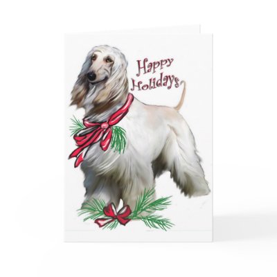 Afghan Hound Christmas Card by knewfy