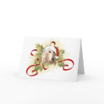 Afghan Hound Christmas Cards