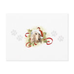 Afghan Hound Christmas Postcards