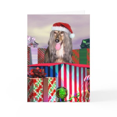 Afghan Hound Christmas Surprise Greeting Card by DanesRUs