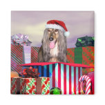 Afghan Hound Christmas Surprise Magnets