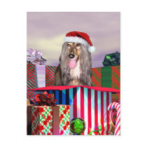 Afghan Hound Christmas Surprise Postcard