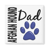 Afghan Hound Dad 2