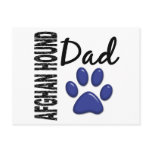 Afghan Hound Dad 2