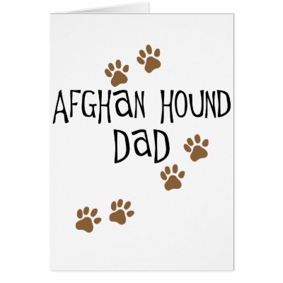 Afghan Hound Dad by dogsandhorses