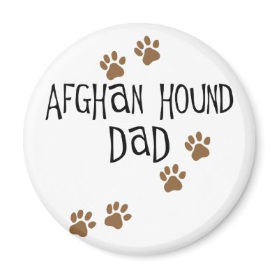 Afghan Hound Dad by dogsandhorses