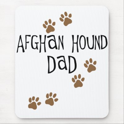 Afghan Hound Dad by dogsandhorses